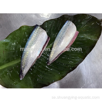 Kinesiska frysta fiskmakrill HGT -pris för konserverad